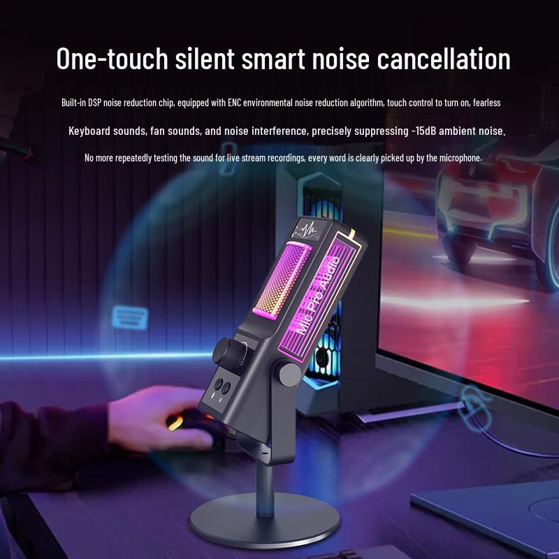 Private Mold USB Condenser Microphone with RGB Lighting – Ideal for Live Streaming, Recording, Noise Reduction, Gaming Commentary, and Esports.