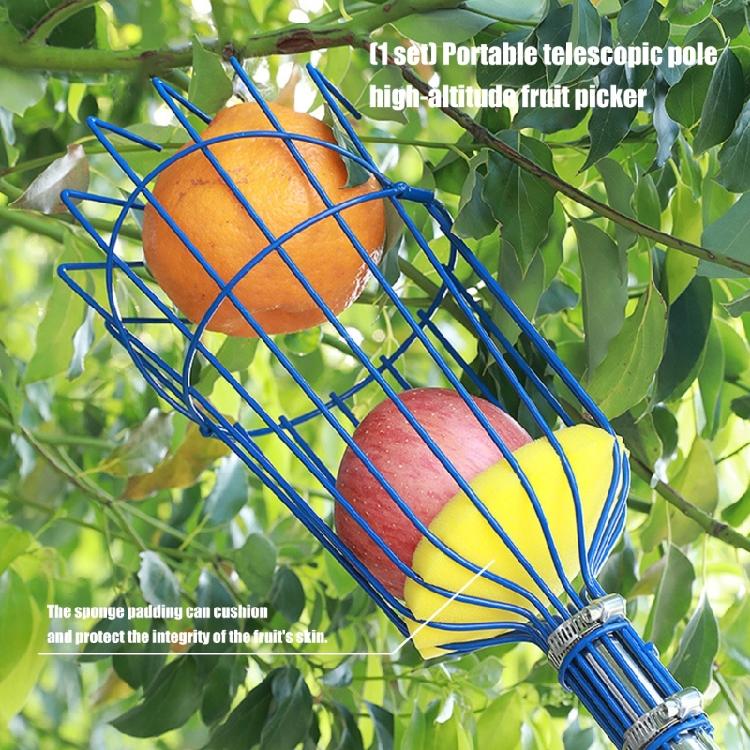 Extendable Telescopic Rod Long Handle Garden Basket Avocados Apples Fruit Picking Garden Harvesting Device for Harvesting