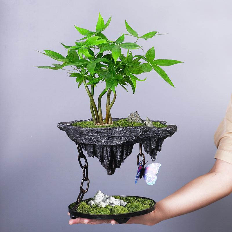 Creative Retro Fortune Tree Bonsai Phalaenopsis Wenzhu Indoor Floating Island Suspended Iron Micro Landscape Flower Pot
