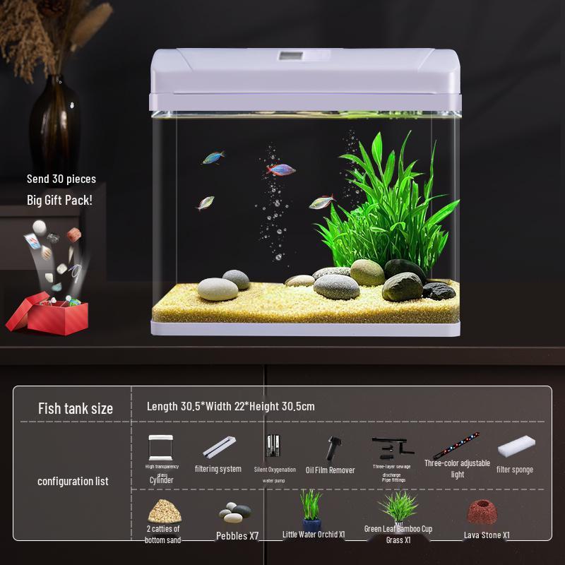 Filtru Acvariu de Sticlă All-in-One și Oxigenator - Acvariu Mic de Birou Eco-Friendly 2025.