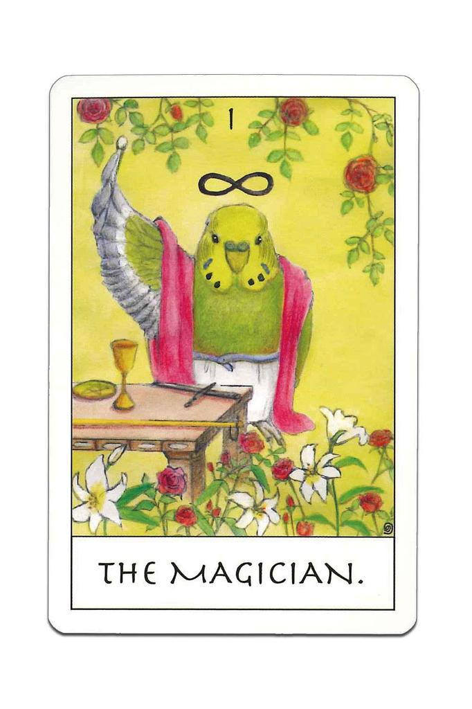 Tarot Cards Fortune Telling Bird Tarot with Japanese Commentary Illustrated by NORISAN 78-Piece "Pocket Manual"