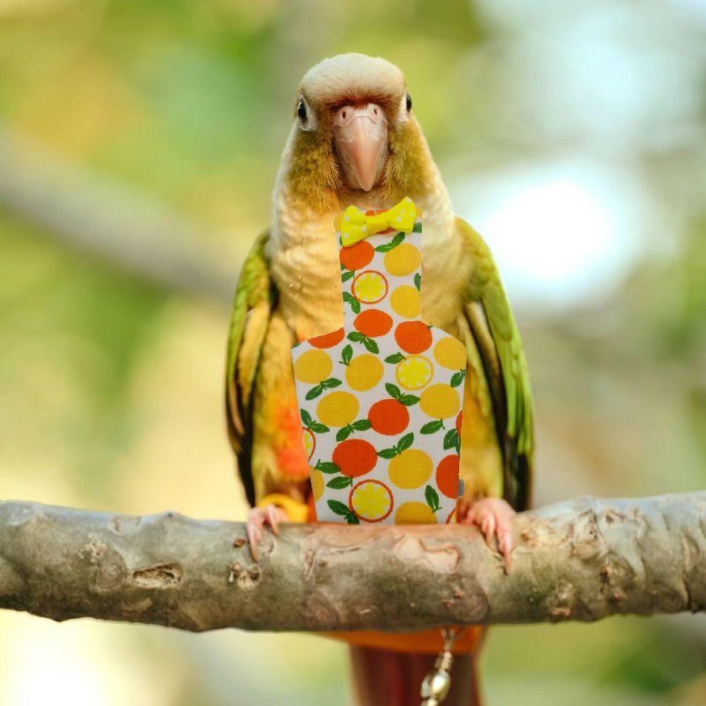 

with Bowtie Washable Breathable Parrot Diaper Bird Accessories Bird Clothes Birds Flight Suit M-G