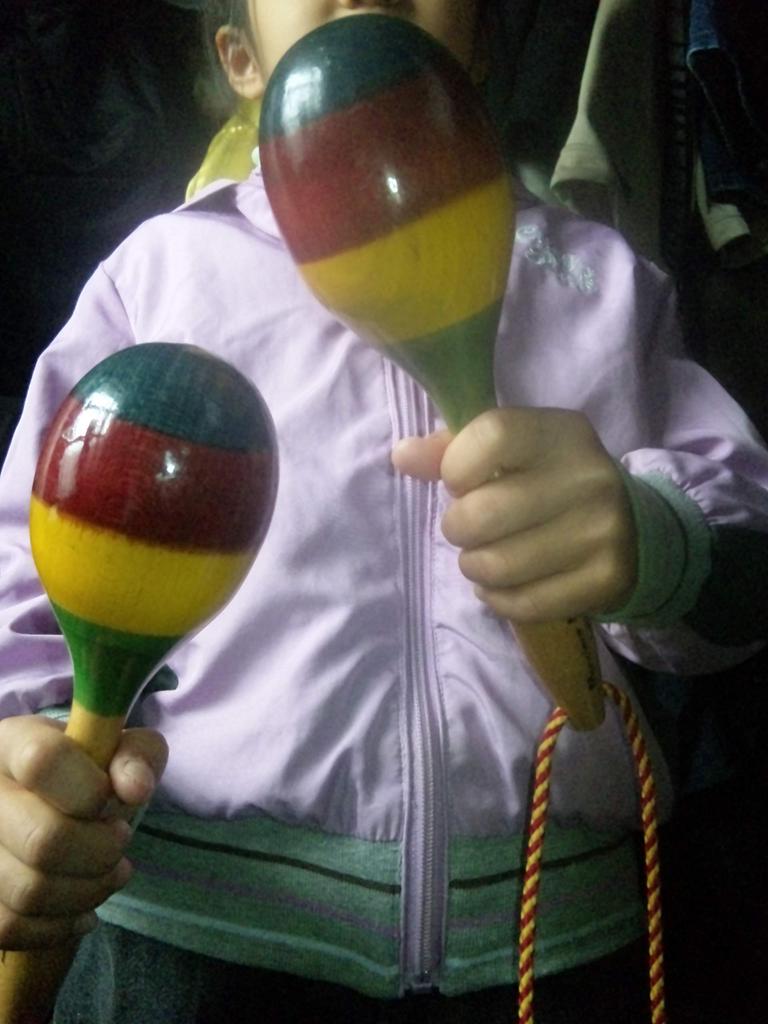 Maracas Latin Percussion Wooden Percussion Instrument Shaker Egg Shape Rhythmic Wind Band Karaoke Party Set of 2 [TradeWind] (Red)