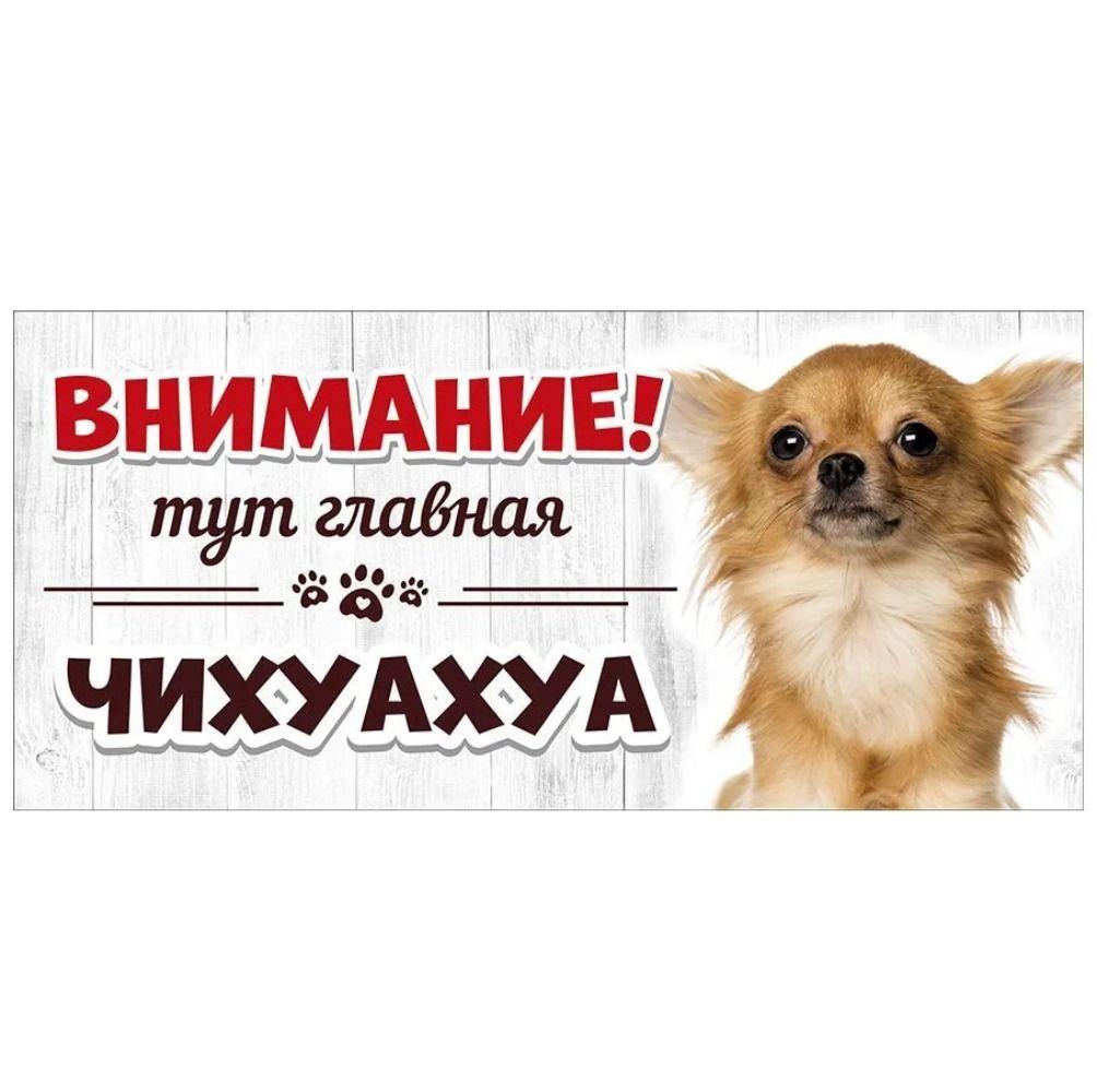 Evil Pomeranian Spitz Sign, Metal Fence Door Plaque 30x15cm