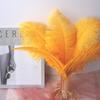 Color 20-25Cm Ostrich Hair Vase Ornament Wall Feather Decoration Hand Bouquet Flower Arrangement Diy Material