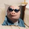 John Pork Is Calling Funny Cushion Cover Silky Short Plush DoubleSided Printed Pillow Case for Sofa All Seasons Home Decor Gift
