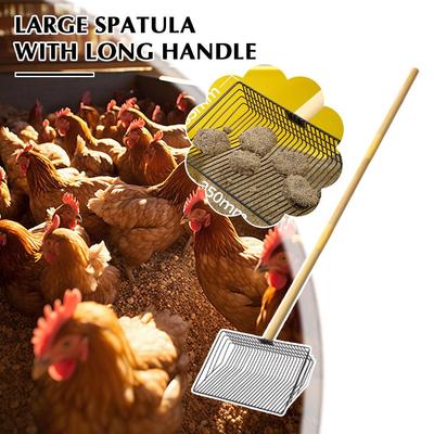 Outil de nettoyage de poulailler en acier Manche en bois Poulet Poulet Accessoires Robuste W4Z6