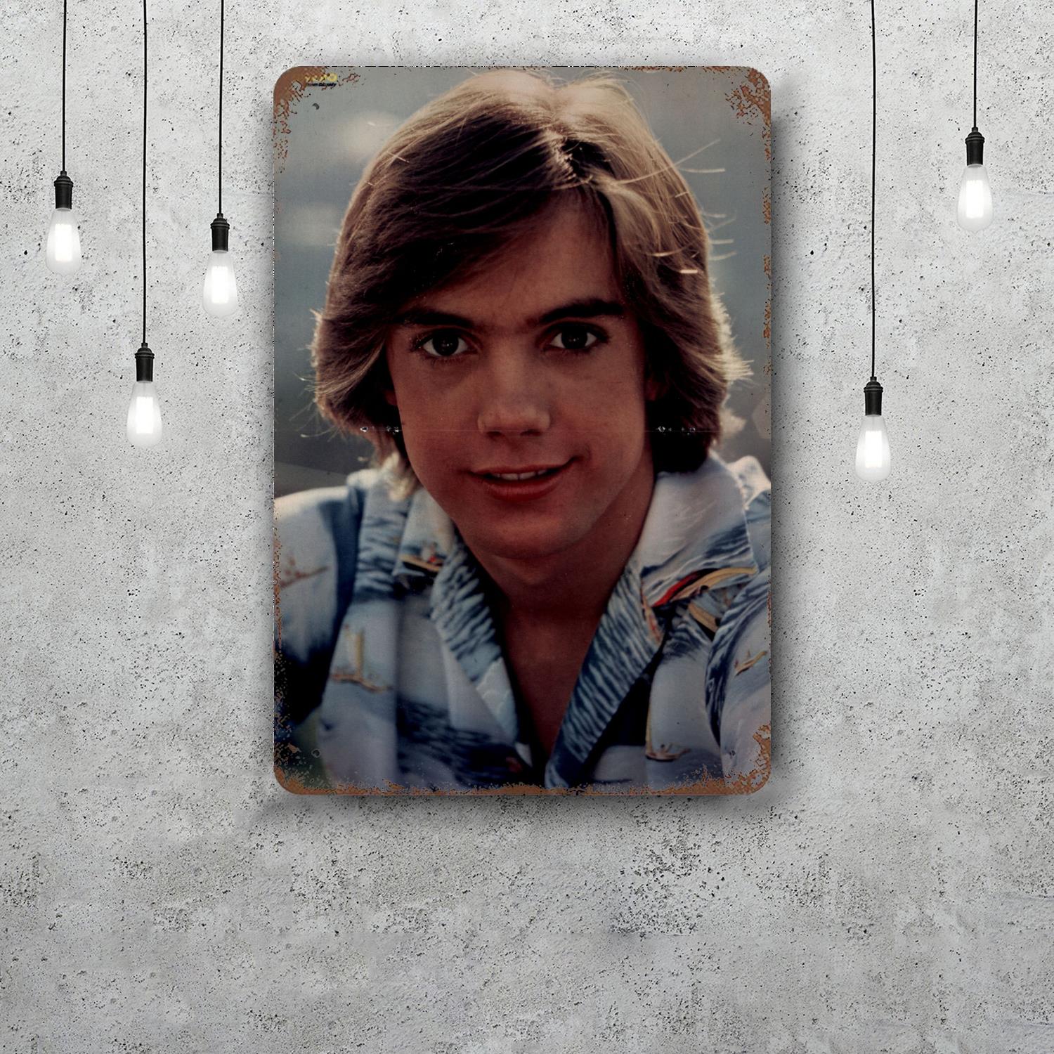 

Shaun Cassidy Vintage Metal Tin Signs Posters Decor Retro Metal Plaque Wall Art Decor for Garage Bar 20x30cm（7.8x11.8inch）