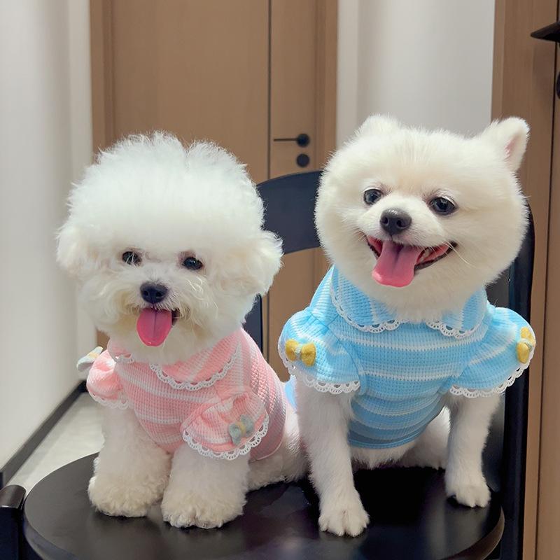 New Dog and Cat Clothing - Lace Knitted Bubble Sleeve Pullover - Pet Summer Wear