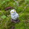 Mini Owl Figurine, Resin Tiny Owl Statue, Miniature Bird Ornament, Micro-Landscape Decoration for Succulents Planters Moss Bottles Fairy Garden