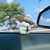 Foodie Hamster Car Desk Decor With Cute Pvc Figurine For Kids Gift And Home Office