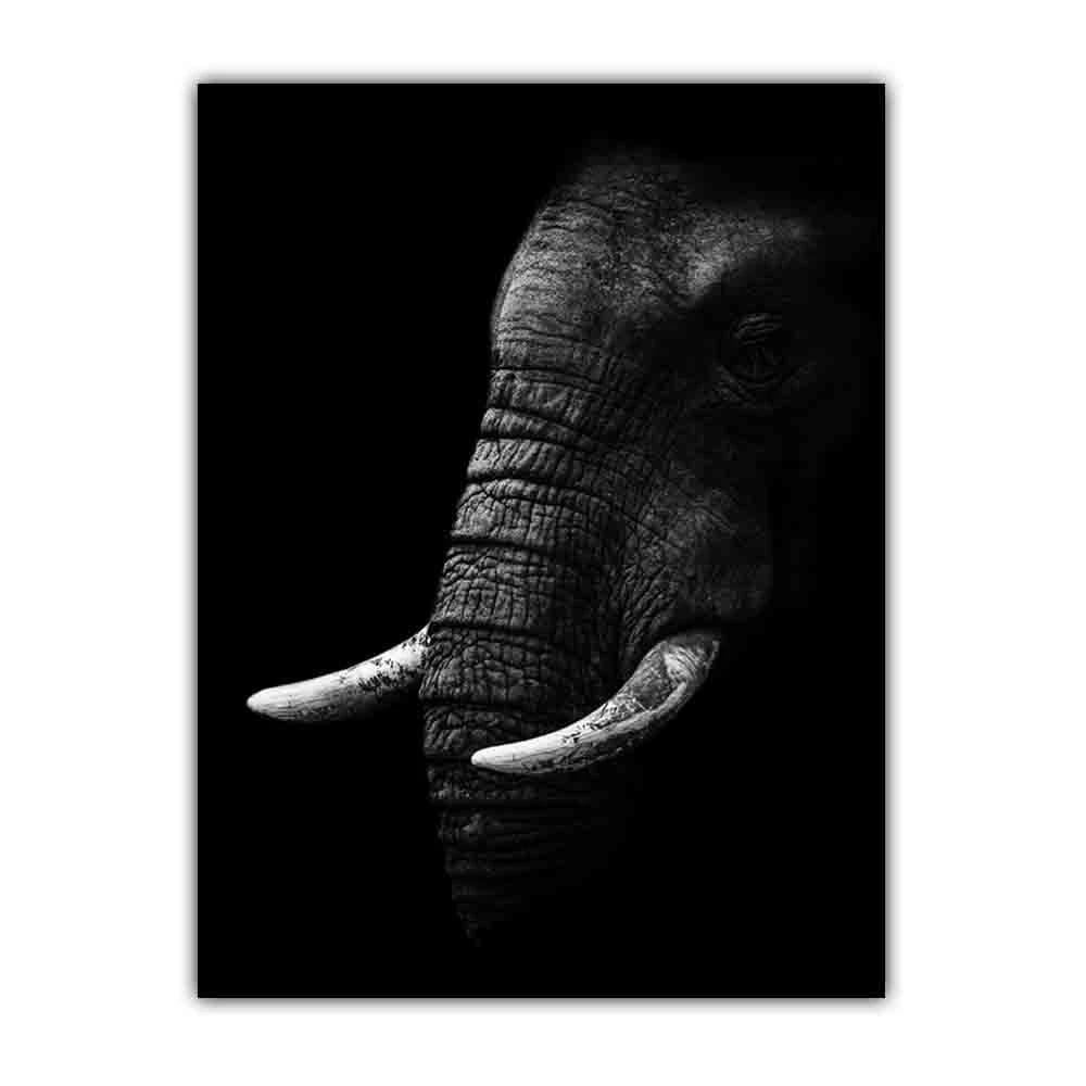 Animal Elephant Black and White Print Art Canvas Poster For Living Room Decoration Home Wall Picture