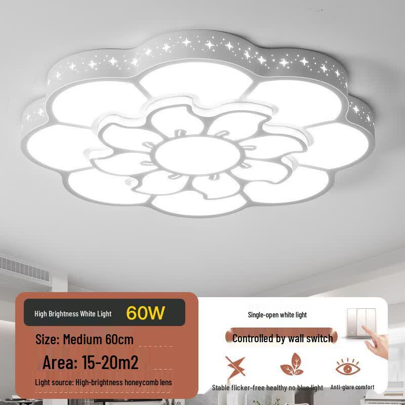 

Mengpao Modern Minimalist LED Ceiling Lamp