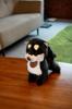 Sanei Boeki Graceful Dog In Shiba Inu Standing Plush Total Length I6856 (Made Japan) Small, Black, Toy, 24cm,