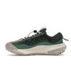 Nike ACG Mountain Fly Low 2 Bicoastal Men Sneakers Green Vintage-Green Light-Orewood-Brown DV7903-300