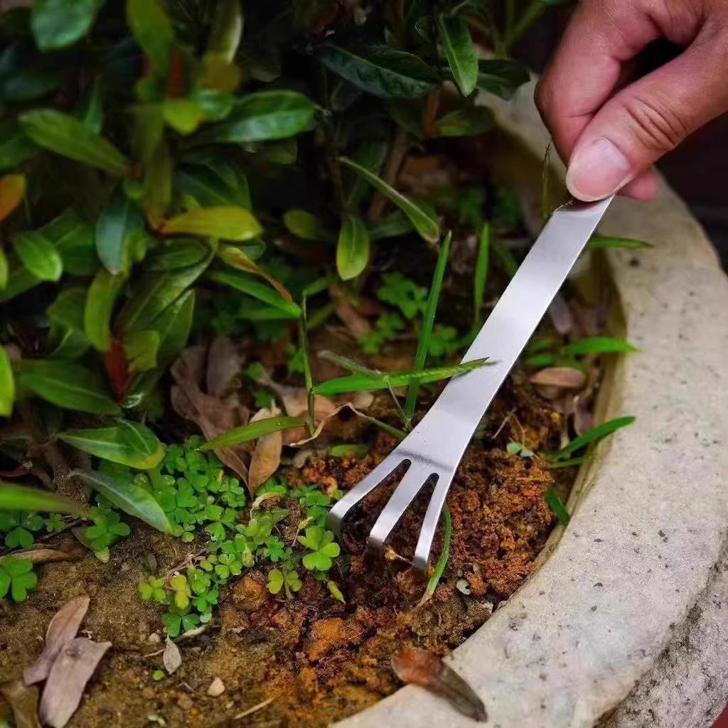 New Arrival: 3-Piece Stainless Steel Bonsai Tool Set - Double-Headed Rake & Soil Loosener
