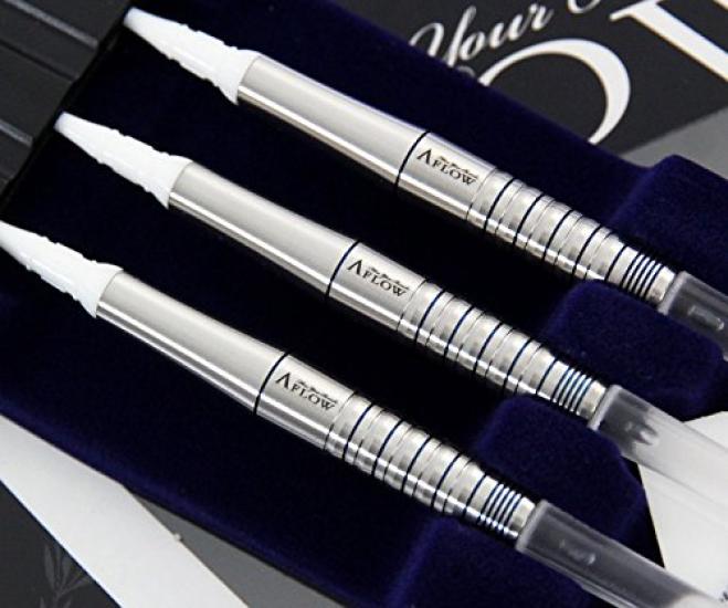 DYNASTY A-FLOW SILVER LINE EARTH SALVIA 2BA Soft Darts Barrel