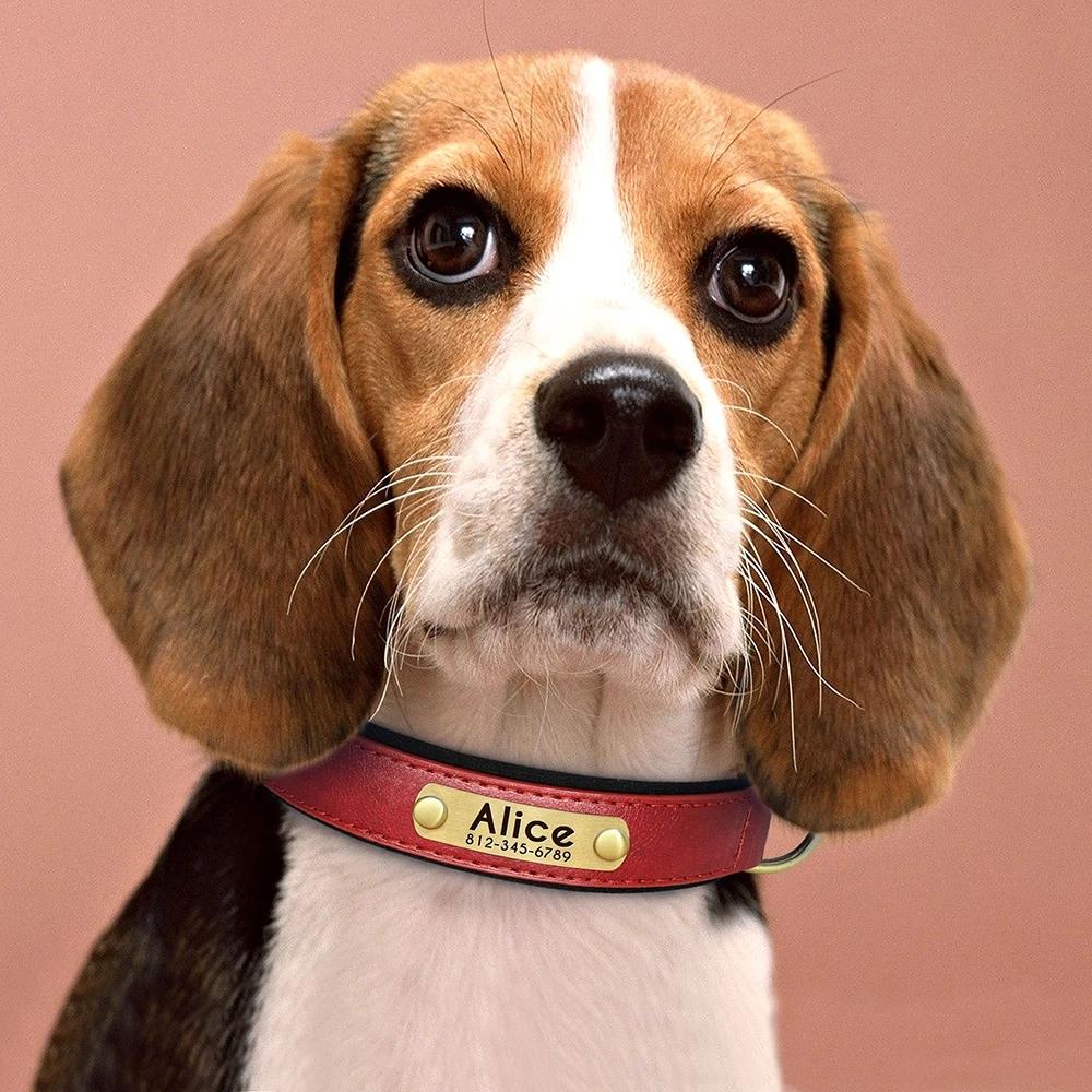 Coleira de Couro Personalizada com Placa de Identificação com Nome para Cães Ajustável Acolchoada Macia Gravação Gratuita Nome para Cães Pequenos Médios Grandes