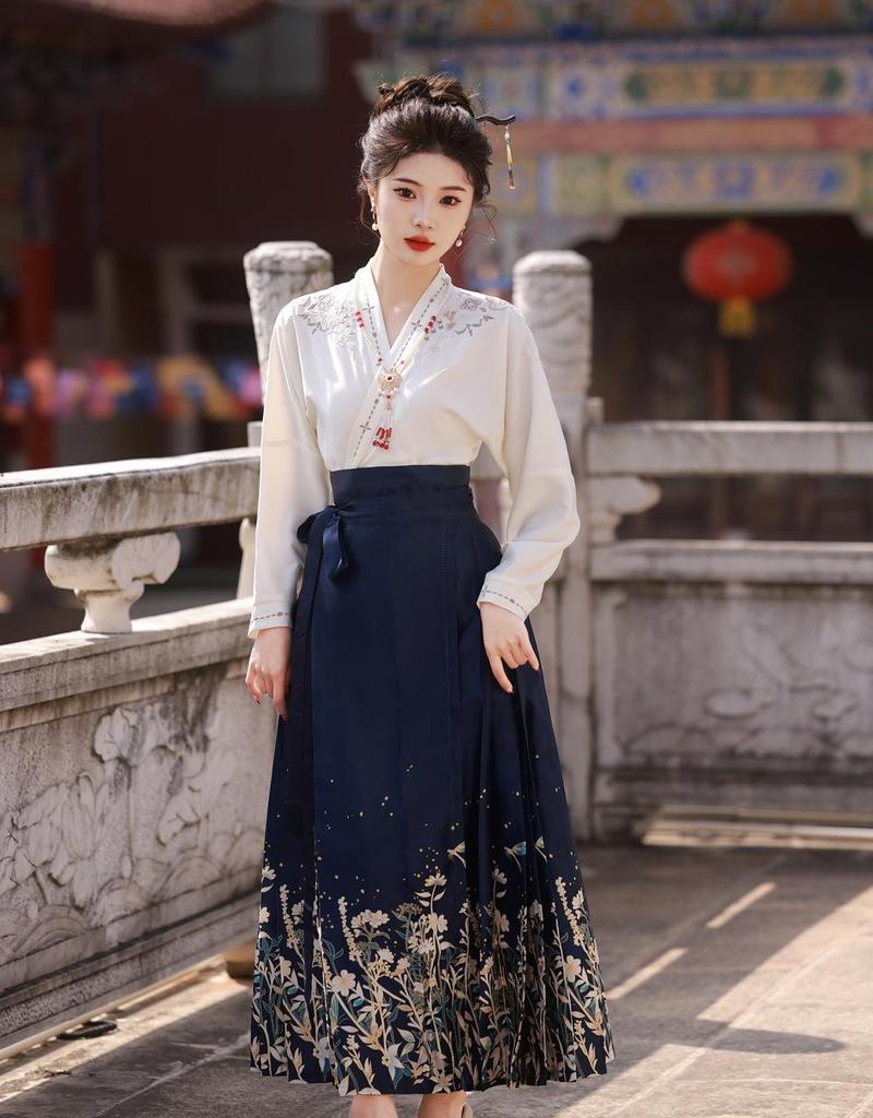 Ming Dynasty-inspired Embroidered Hanfu Skirt and Top Set