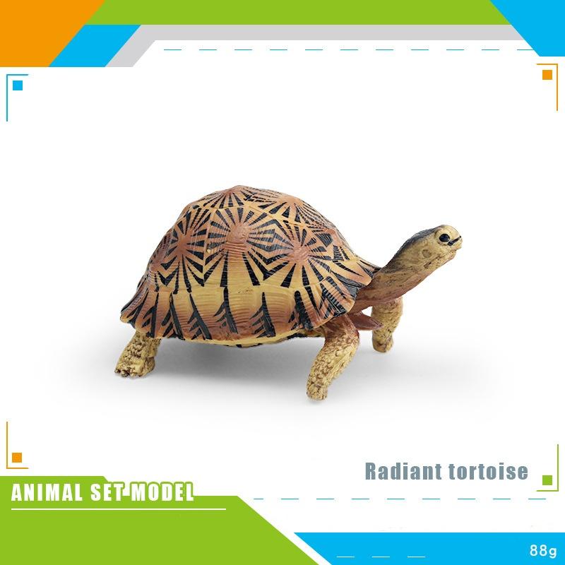 Children Simulated Turtle Model Static Solid Model Toy Animal Set Various Turtle Ornaments Radiated Tortoise Brazilian Slider