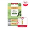 (+Rescue Cica Stick Free) Burt's Bees Rescue Ointment Cica Stick Duo