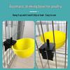 Poultry Water Bowl for Ducks, Geese, Pigeons, Quails, and Chickens - Automatic Drinker for Bird Feeding.