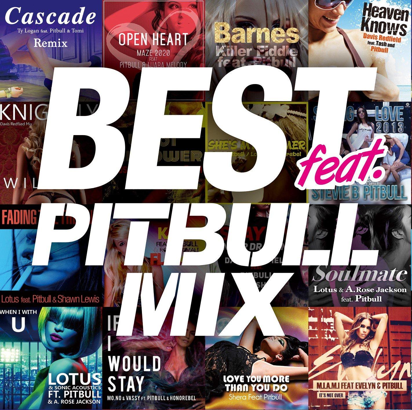 

НАЙКРАЩИЙ ПОДІГ. -PITBULL MIX-