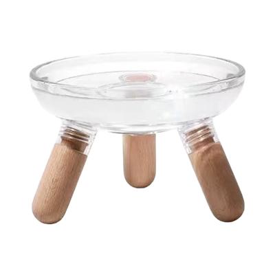 Elevated Pet Feeding Station Insert Dish For Comfortable Dog Dining Feeding Bowl Clear Detachable Bowl
