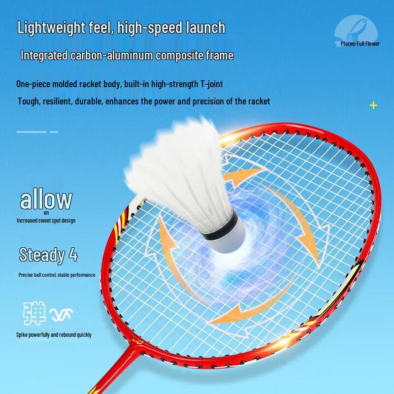 DOUBLE FISH Badminton Racket Set