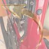 Universal Bike Chain Stabilizer Road Bicycle Chain Anti-Dropping Guide Protector