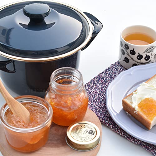 Fuji Enamel Casserole Pot, Induction Compatible, Cocotte with Lid, 16cm, Scarlet, EX-16 C SR