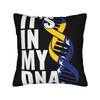 Bosnia And Herzegovina Flag Pillow Case Morden Pillow Cover Soft Pillowcases For Sofa Car Home Decor