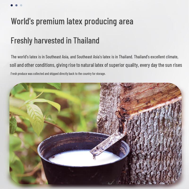 Jiaao Thai Natural Latex Pillow