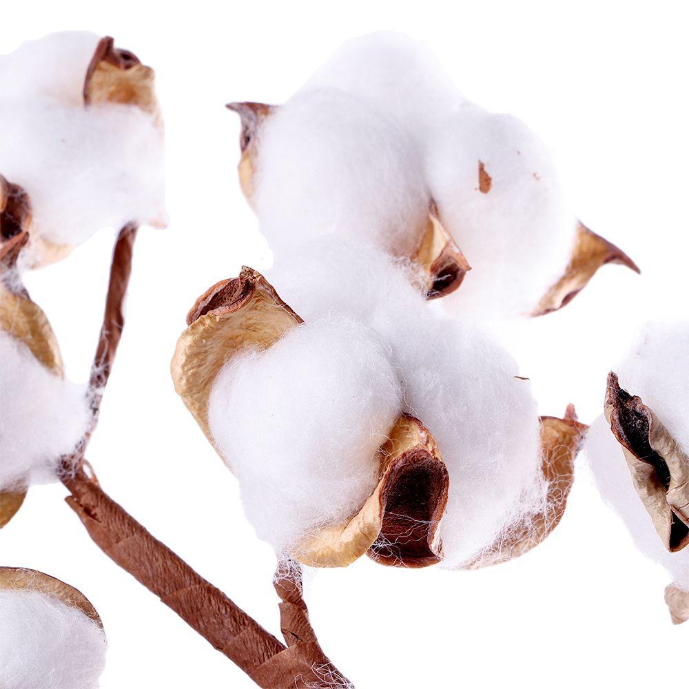 10 Heads Wedding Decoration Home Decor Floral Branch Artificial Plants Dried Cotton Flower Cotton Stem