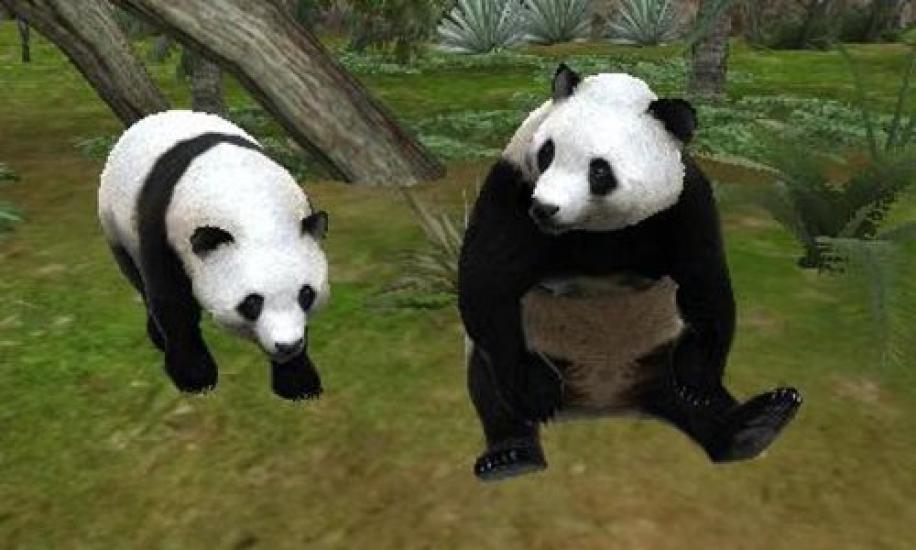 Animal Build a 3DS Resort Let's Zoo!! -