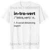 Introvertní Logo Tričko Vtipné Humor Introvert Vtipná Trička Léto Bavlna Streetwear Humor Citáty Vánoční Dárky Tričko
