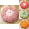Teddy Plush Animal Pumpkin Seat Cushion With Embroidered Design For Living Room And Bedroom Comfort