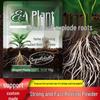 Fast Rooting Powder: Tree, Plant, and Flower Seedling Transplant Agent
