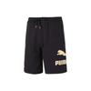 Puma Casual Shorts Unisex Black 626881-01