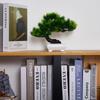 Artificial Plastic Plants Bonsai Small Tree Pot Fake Plant Potted Flower Garden Arrangement Ornaments Room Home Table Decoration