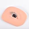Eyelash Practice Module, a Specialized Simulation Practice Tool for Beginner Eyelash Technicians, Including Eyelash and Eyebrow Tattoo Practice Film