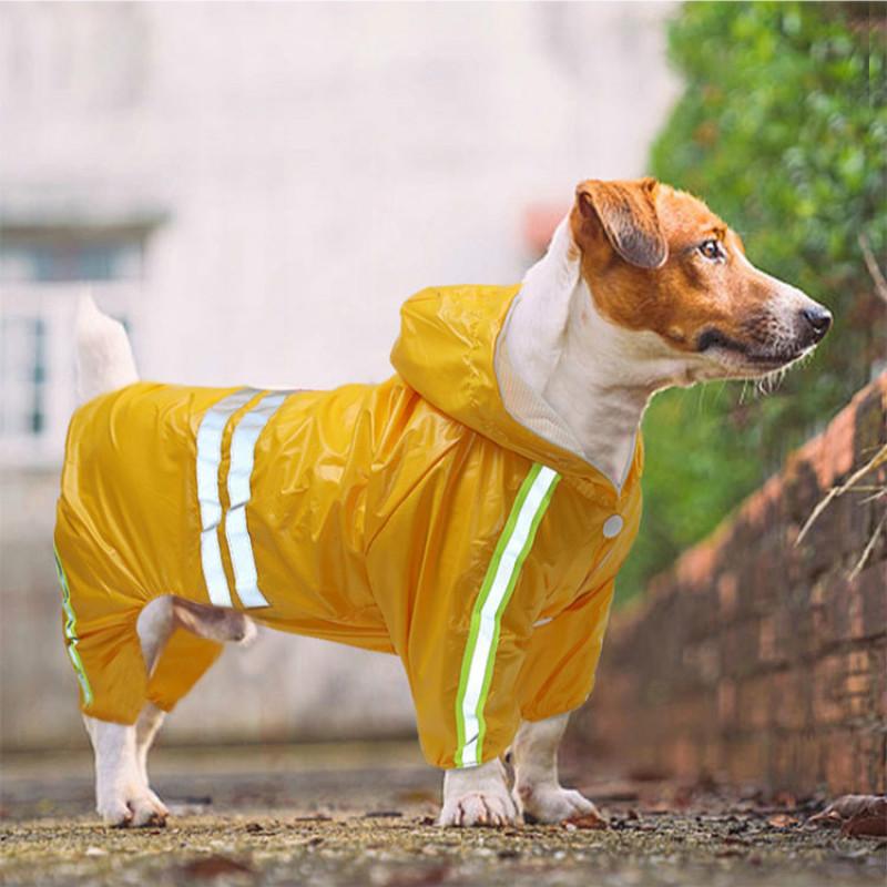 large dog rain jacket