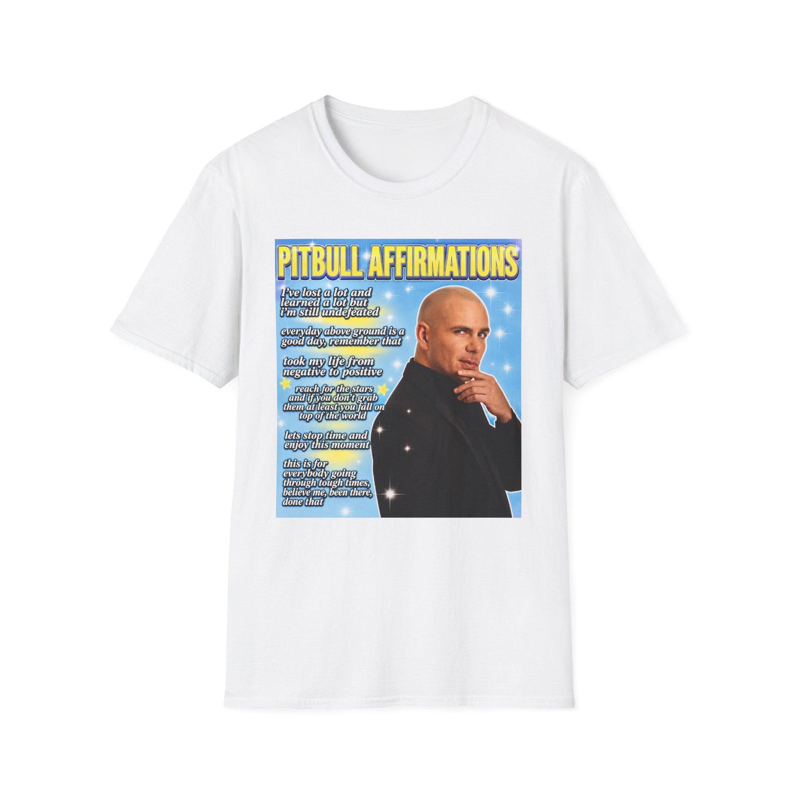 Pitbull Affirmations T-Shirt, Pitbull Shirt, Pitbull Motivational Meme Tee, Funny Affirmation Shirt, Pitbull Lover Gift, Pop Culture Shirt S