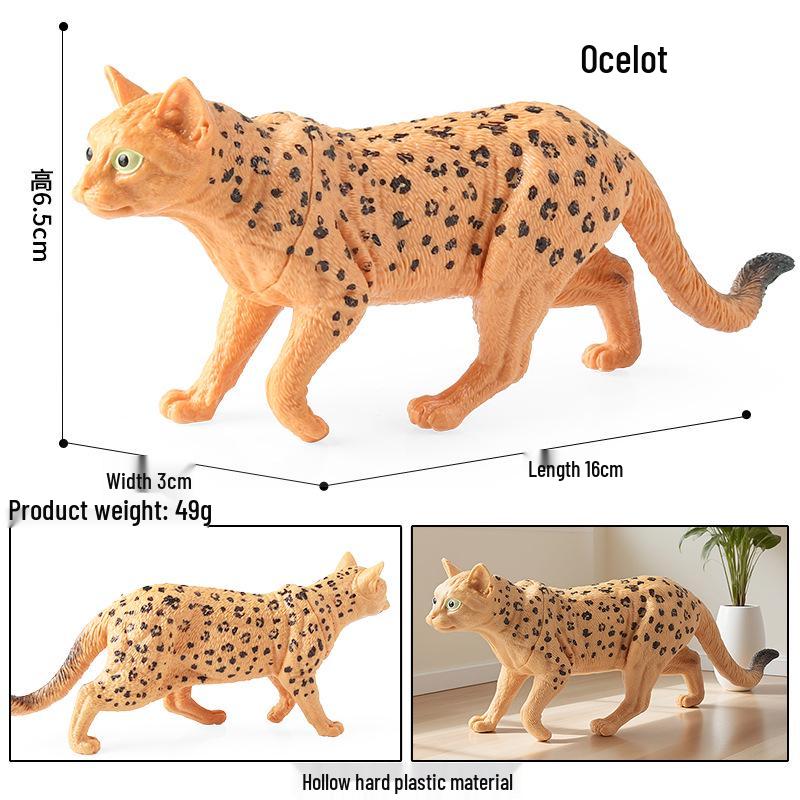 Realistic Exotic Orange Tabby Cat Heart Model Ornament