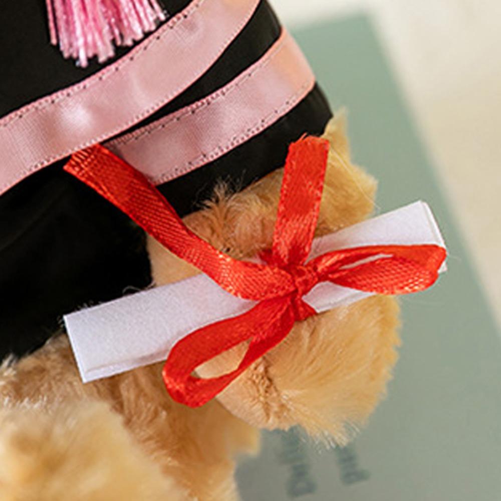 Cute Doctor Cap Graduation Bear Doll Academic Dress Bear Animal Doll  Graduates Celebration