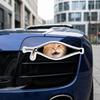 Creative Car Stickers Scratch Covering Car Decorative Sticker Pet Car Stickers  Car Window Glass