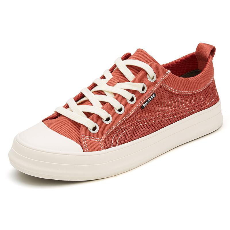 Shining The New Summer Mens Shoes Korean Style Trendy Versatile Fashion Casual Mens Cloth Shoes Breathable Mesh Shoes