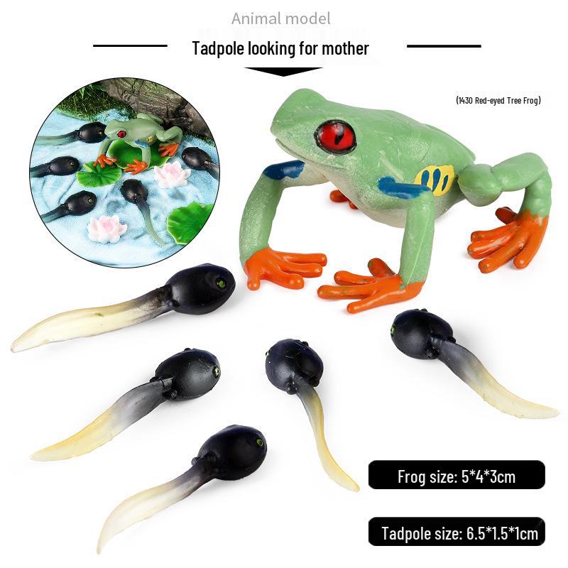 Mini Animal Growth Cycle Toys: Butterfly, Rooster, Ant, Frog, Sea Turtle, Dragonfly