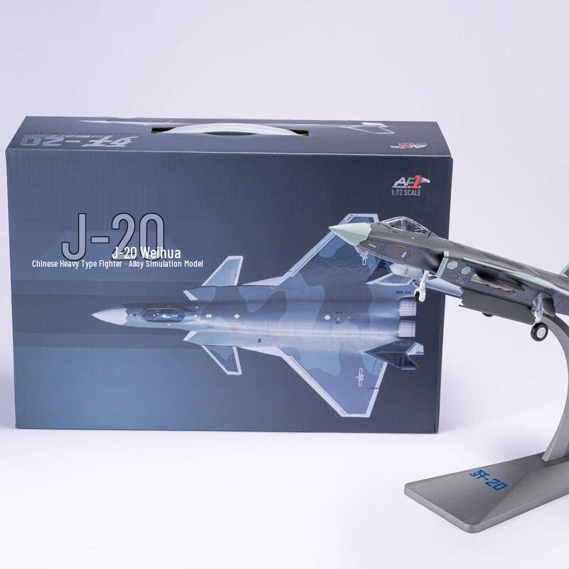 WEZHO J-20 Fighter Jet Model