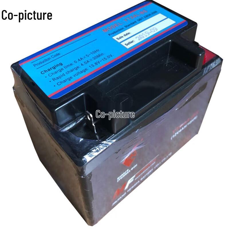 Airport Emergency Light Battery